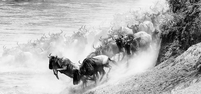 Featured image for Project Mezzanine: The Great Migration