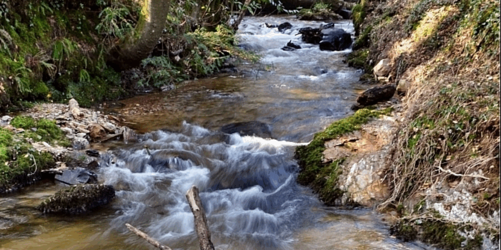 Featured image for From Batch to Streaming: Accelerating Data Freshness in Uber’s Data Lake