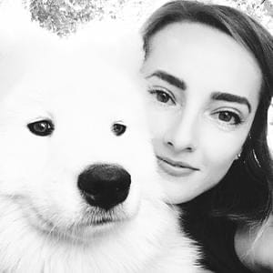 Introducing Base Web, Uber's New Design System for Building Websites in