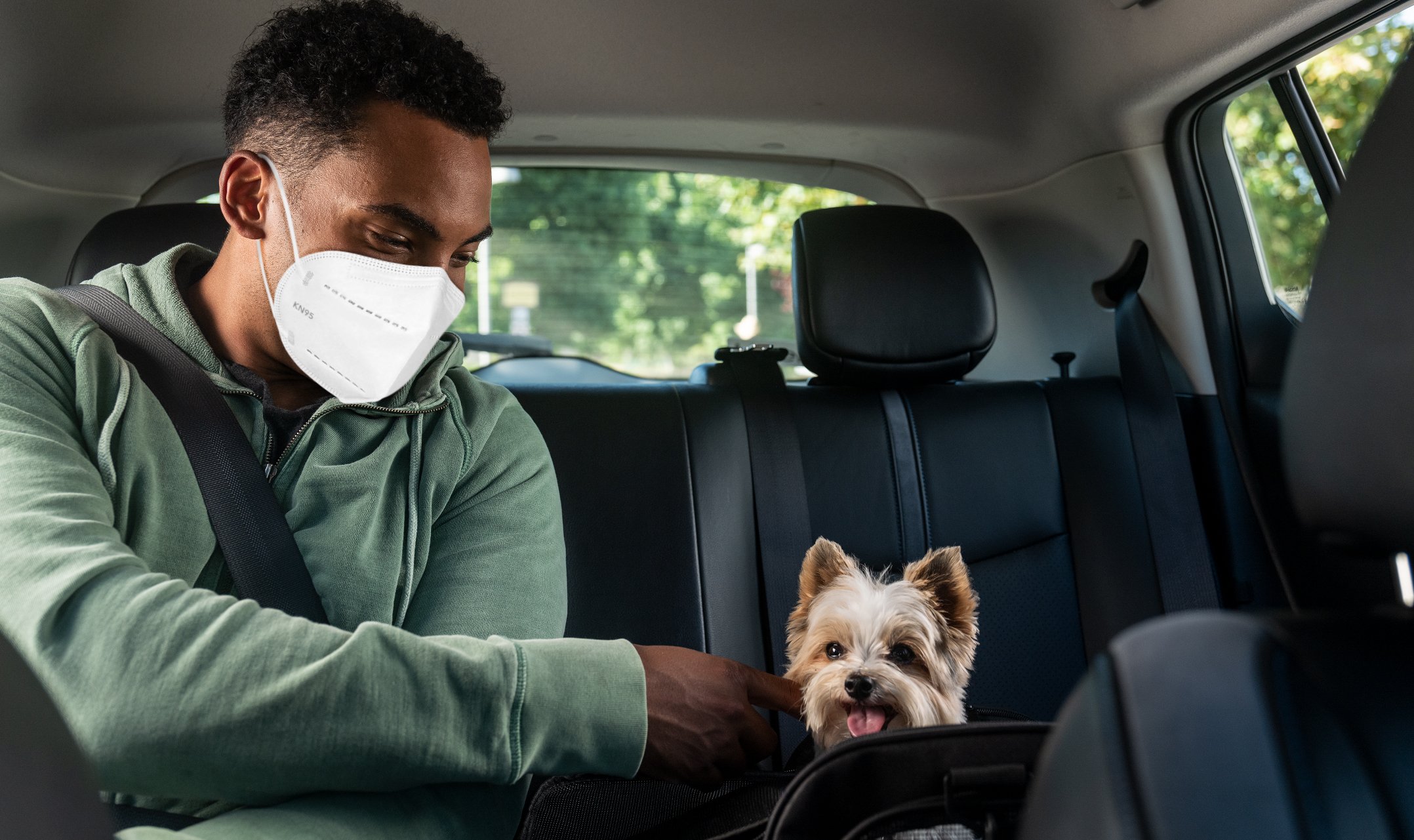 Pet Taxi Trusted Driver